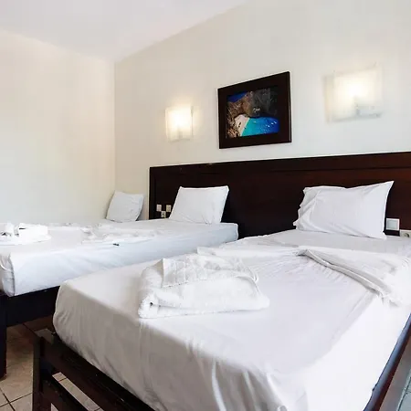 Paradise Standard 4 *